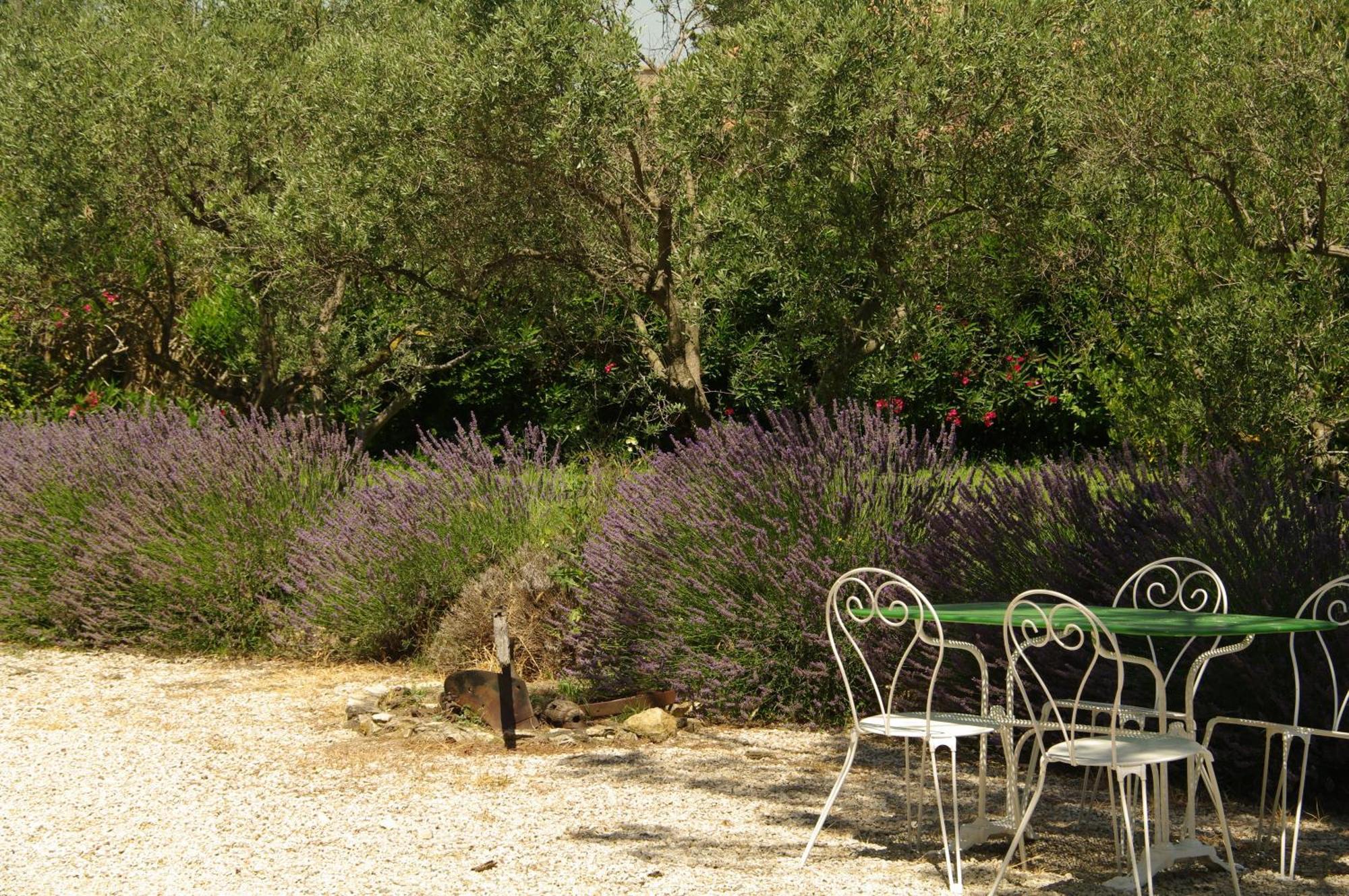 Residence Le Saint Victor Fontvieille Buitenkant foto
